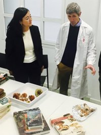 Bilbao pone en marcha el próximo lunes el servicio público de identificación de setas 