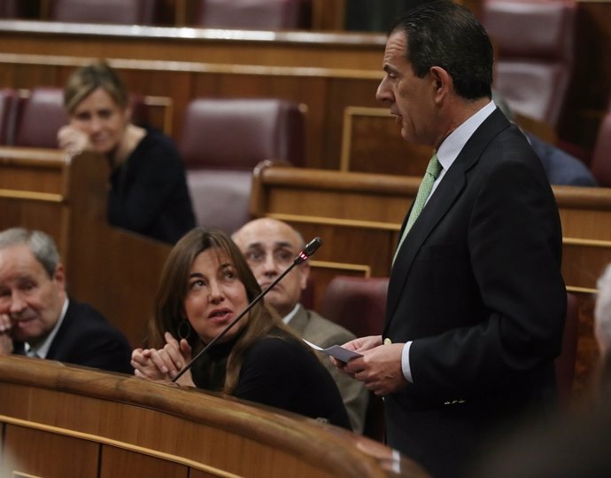 El diputado del PP Rafael Merino en la sesión de control al Gobierno