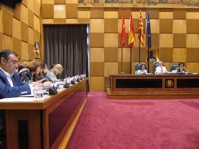               Pleno Del Ayuntamiento De Zaragoza                 