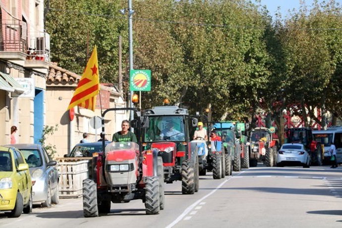 Agencia Catalana de Noticias