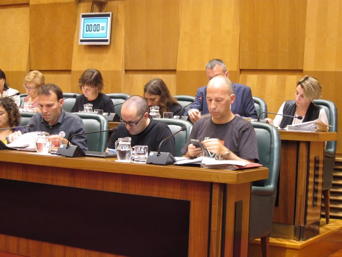 Ayuntamiento expresa su disposición a ayudar a la futura Comarca de Zaragoza.