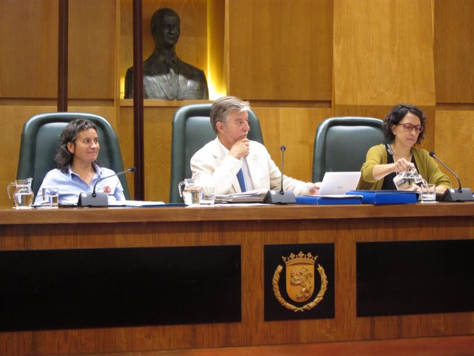   El Alcalde, Pedro Santisteve, Preside El Pleno.                          