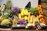 Las exportaciones de Granada crecen un 10,5% hasta los 711 millones de euros