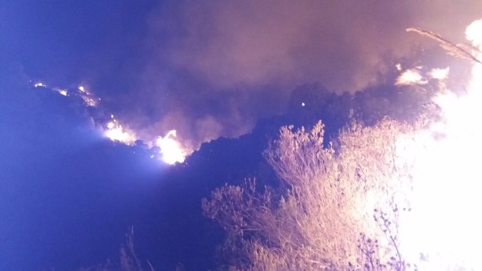 Incendio forestal en Marbella (Málaga)