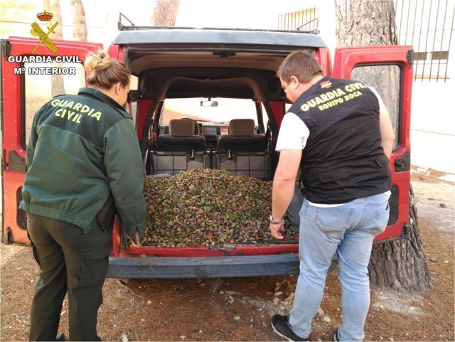 Robo de almendras