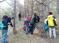 Las jornadas micológicas de las Cinco Villas se desarrollarán del 13 de octubre al 18 de noviembre