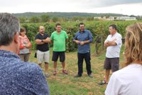 El Fogaiba destina más de nueve millones de euros al impulso del sector vitivinícola de Baleares