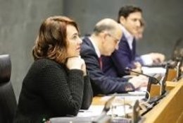 La presidenta del Parlamento durante un pleno.