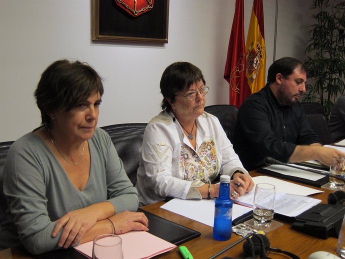 María José Beaumont, en el centro, en una comisión en el Parlamento