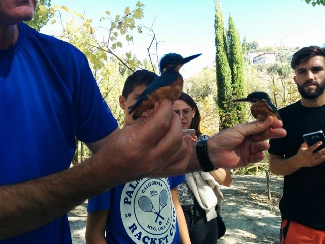 Taller de anillamiento científico de aves