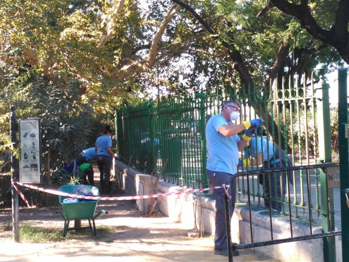 Trabajos en el parque de María Luisa
