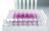 Primer ensayo clínico en humanos con una vacuna universal para la gripe