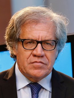 Organization of American States President Luis Almagro attends a meeting of the 