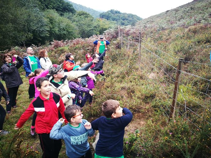 Actividad medioambiental