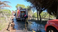 Los bomberos sofocan el quinto incendio provocado en el pinar de Guardamar del Segura de las últimas semanas