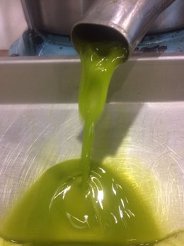 Almazara jiennense produciendo aceite de oliva