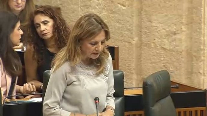 La consejera de Salud, Marina Álvarez,  en el pleno del Parlamento andaluz