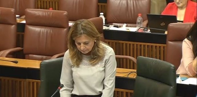 La consejera de Salud, Marina Álvarez, en el Parlamento