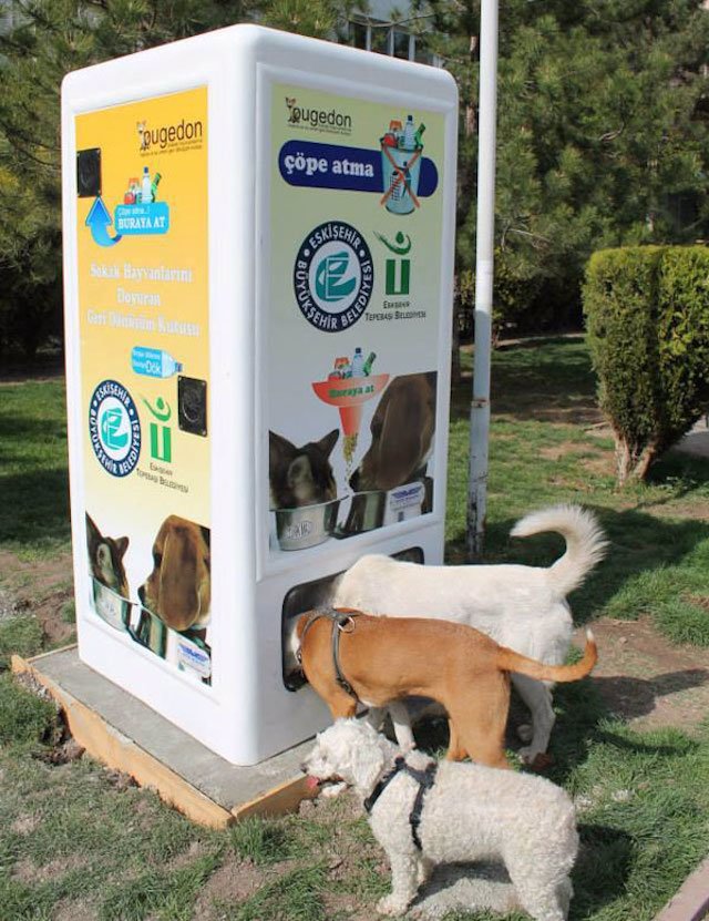 comida para perros - estambul