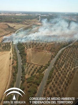Imagen desde el helicóptero del incendio en Bonares. 