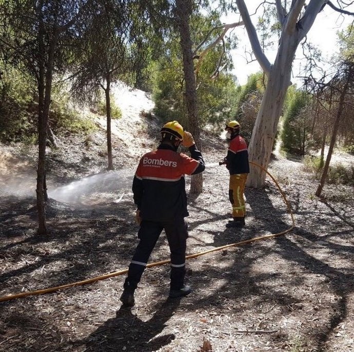 Incendio en la pinada de Guardamar