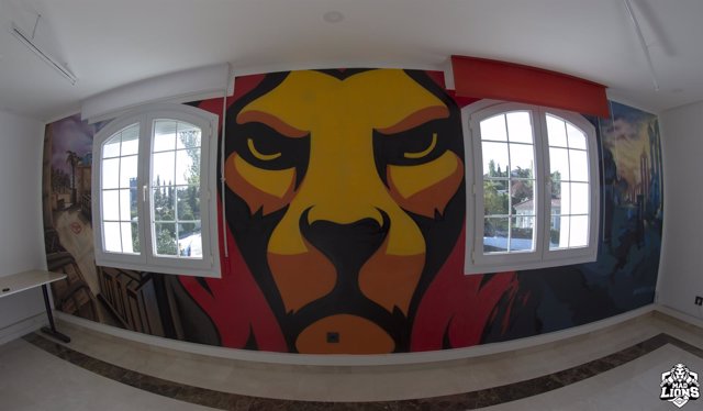 MAD Lions Gaming House