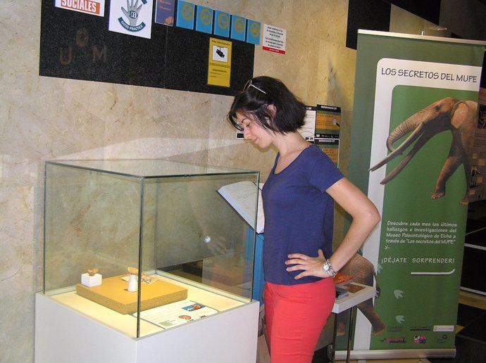 La estudiante que localizó los fósiles ante la vitrina que los expone