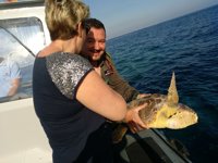 La Comunidad libera una tortuga boba que llegó este verano al Centro de Recuperación de El Valle con graves lesiones