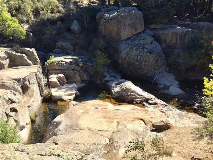 Nota, Audio Y Fotos: Las Medidas De Protección Adoptadas Por La Comunidad En La 