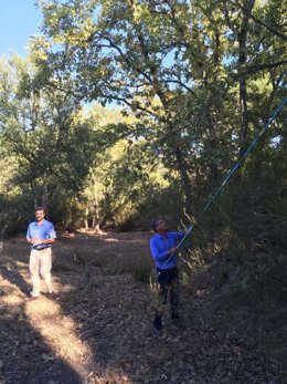 1 Nota Y 3 Fotos Junta (Colocación Nidos Galaroza)