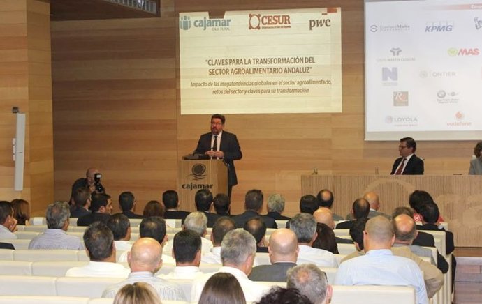 Nota Prensa Consejero Informe Pwc Almería