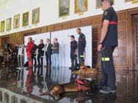 La Unidad Canina de Bomberos, formada por ocho perros, estará operativa en un año