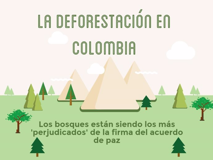 La desaparición de bosques en Colombia, un problema histórico