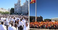 Delegación cifra en 50.000 los asistentes a la concentración de Colón y en 1.500 los participantes en Cibeles