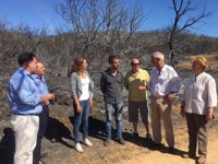 PP-A pide a Junta un plan especial de recuperación tras los daños de los incendios forestales en Huelva