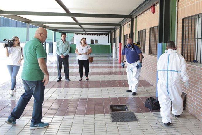 Desratización desinsectación desinfección centros escolares colegios marbella