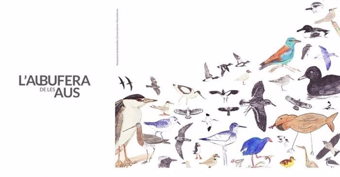 Cartel de L'Albufera de les aus