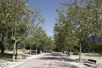 Predominio de cielos despejados este domingo