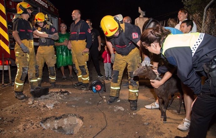 El animal ha vuelto con su dueño a la granja