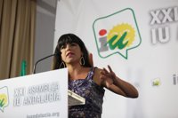 Rodríguez (Podemos) llama a una confluencia con IULV-CA "generosa" y no hegemonizada por ninguna de las dos fuerzas