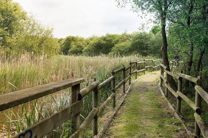 Sendero en las marismas de Alday