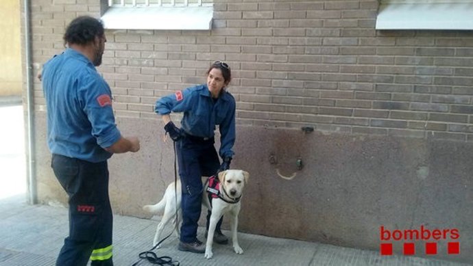 Agencia Catalana de Noticias