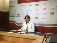 PSOE C-LM acusa al PP de hablar del conflicto para "tapar" la Gürtel y tacha su actitud de "miserable y ruin"