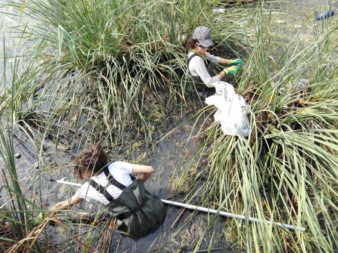 Ecologistas retiran basura en el Guadalquivir