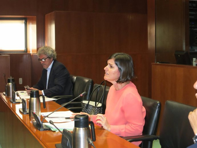 La diputada del PAR, Elena Allué, este lunes en las Cortes