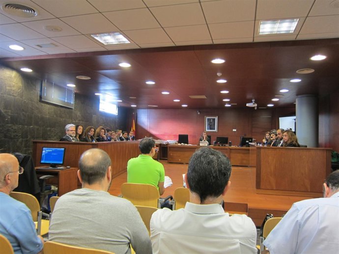 Comparecencia del técnico que instruía las denuncias por ruido                  