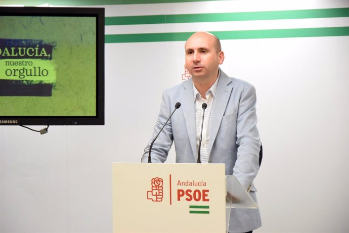 Francisco Conejo PSOE Málaga PSOE-A Política Institucional diputación 