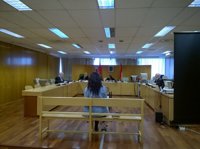 La activista de Femen que arrojó la Constitución a Fernández Díaz acepta un año de prisión por atentado contra autoridad