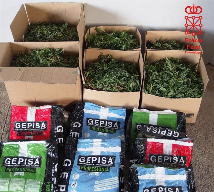 Parte de la droga decomisada.