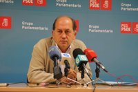 Leiceaga señala que cualquier cambio orgánico corresponde a la dirección del PSdeG